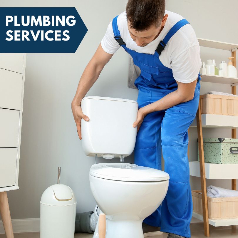 Plumbing Company in Brixey, MO
